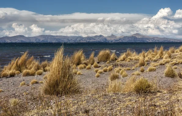 Picture landscape, Peru, Lake Titicaca