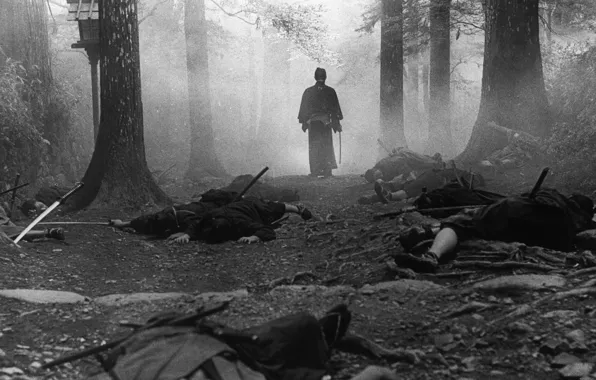 Picture forest, trees, fog, samurai, black and white, corpses, nationality