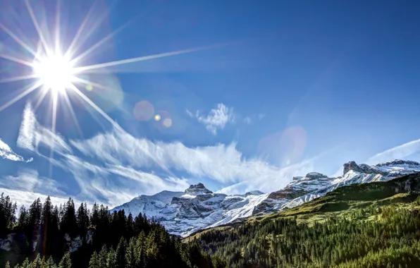 Picture forest, the sun, rays, mountains, nature