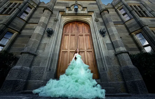 Look, girl, pose, castle, the building, dress, the door, lights