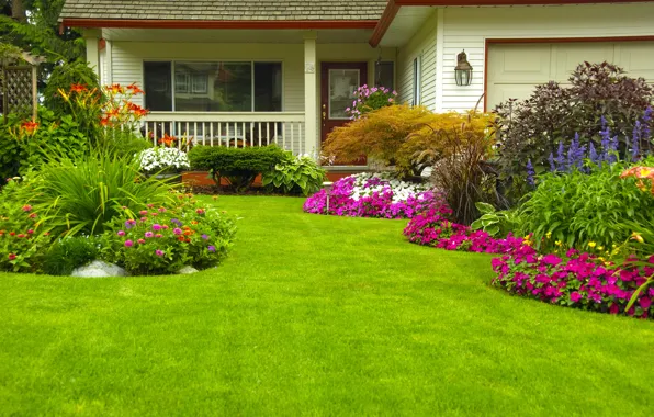 Picture greens, grass, flowers, house, lawn, garden, the bushes, Zinnia