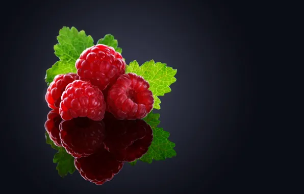 Macro, berries, raspberry, background, black