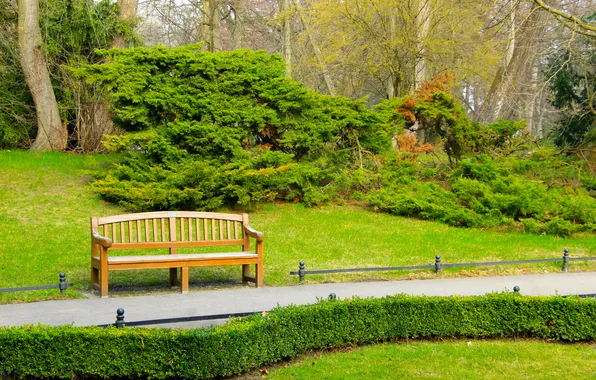 Wallpaper green, park, bench for mobile and desktop, section пейзажи ...