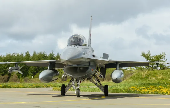 Picture fighter, the airfield, Fighting Falcon, multipurpose, "Fighting Falcon", F-16B