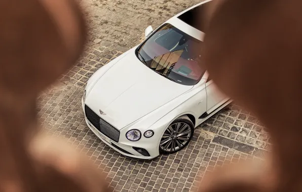 Bentley, Continental GT, Bentley Continental GT Speed