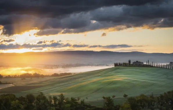 The sky, the sun, rays, light, trees, line, clouds, fog