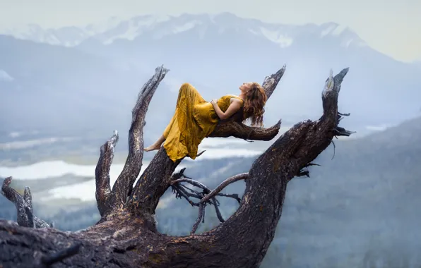 Forest, girl, mountains, branches, nature, pose, fog, tree