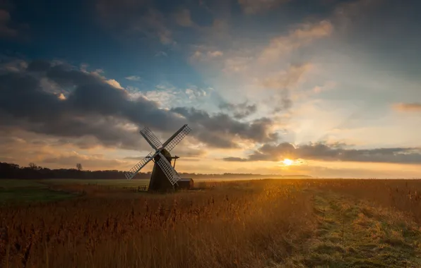 Picture field, the sun, morning, mill
