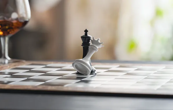 Pose, table, black, glass, chess, alcohol, white, Duo
