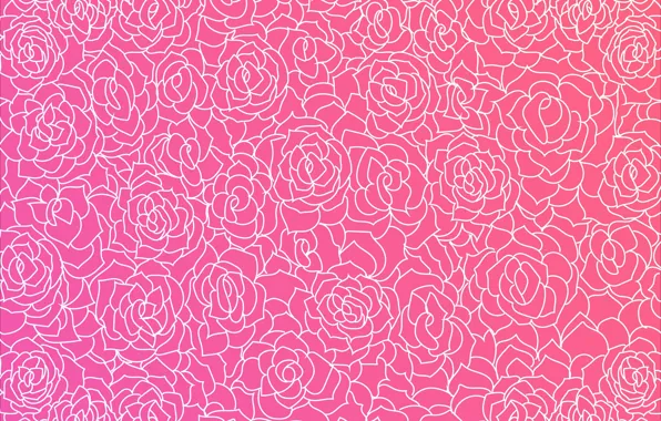 Roses, texture, pink, with, background, roses