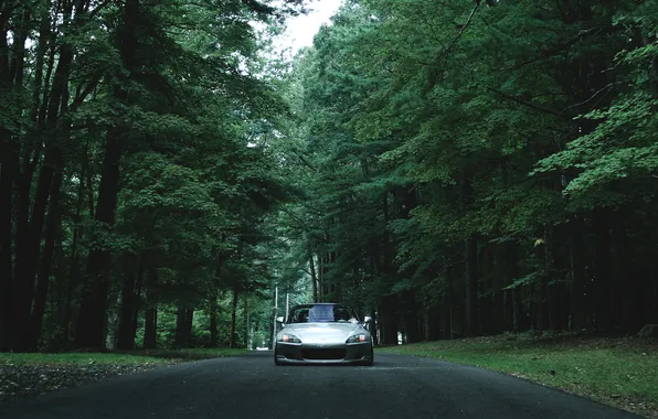 Road, trees, before, Honda, s2000