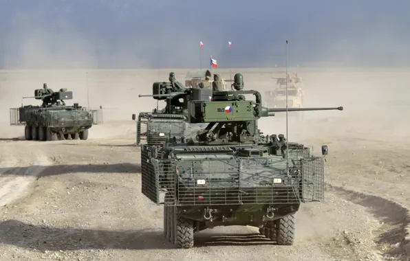 Machine, desert, dust, technique, combat, military, BTR, Czech