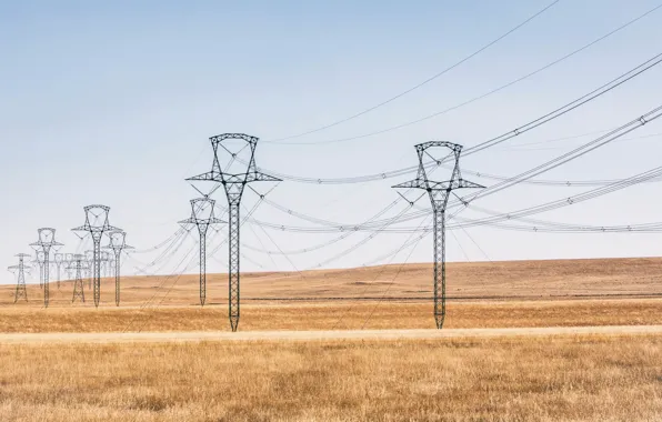 Field, the sky, power lines