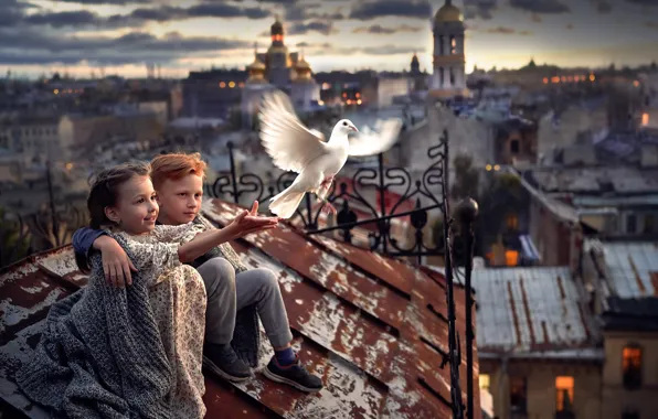 The city, bird, boy, girl