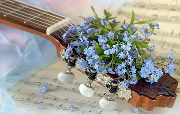 Flowers, notes, music, guitar, bouquet, strings, blue, a bunch