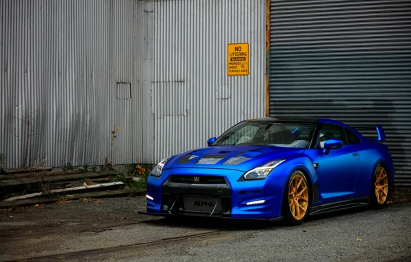 Picture nissan, gtr, Wheels, Strasse, Aplha