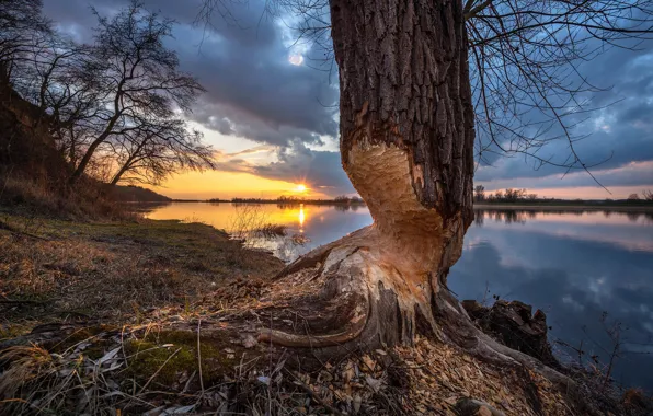 Autumn, landscape, sunset, nature, river, tree, valley, Poland