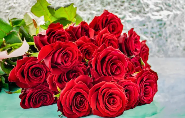 Picture red, roses, bouquet, buds