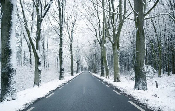 Winter, road, forest, snow, trees, branches, perspective, highway