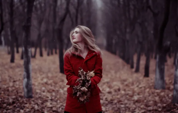 Picture autumn, forest, girl, mood
