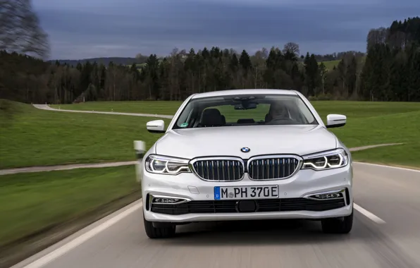 Picture field, forest, white, BMW, sedan, front view, hybrid, 5