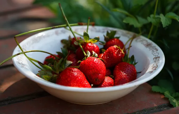 Leaves, light, berries, tile, food, harvest, strawberry, plate