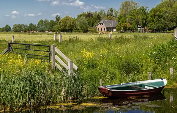 Summer, grass, lake, pond, shore, boat, the fence, horses