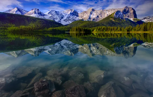 Forest, the sky, clouds, snow, trees, mountains, nature, reflection