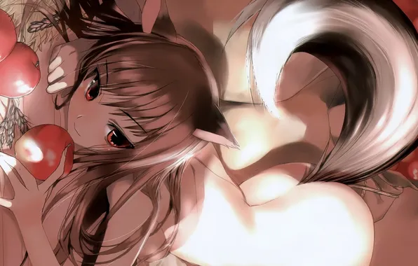 Tail, wolf, ears, Spice and Wolf, Horo