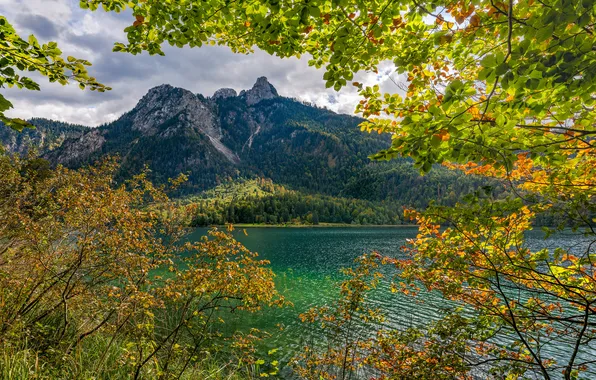 Picture Nature, Mountains, Lake, Germany, Bayern, Alpsee