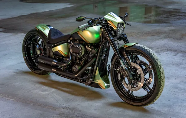 Picture Harley Davidson, Tuning, Softail, Bikes, Customized, Thunderbike, FXDR, Golden Lime