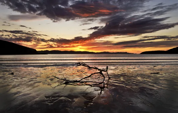 Sunset, hills, branch, the evening, stranded, dry, Koryak