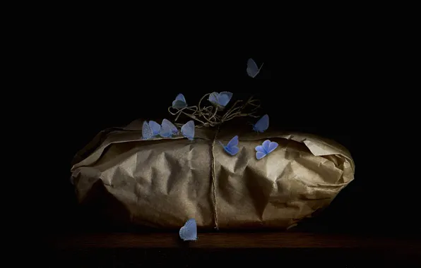 Picture paper, butterfly, package, insect, black background, bundle, the secret