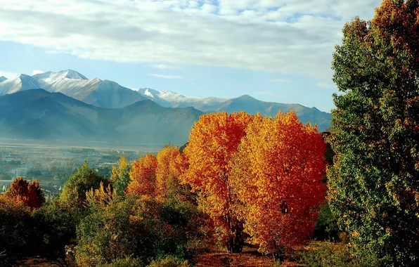 Autumn, forest, the sky, clouds, trees, mountains, the slopes, tops