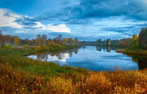 Autumn, grass, water, clouds, trees, landscape, nature, reflection