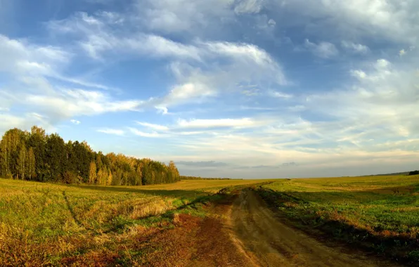 Road, field, autumn, landscape