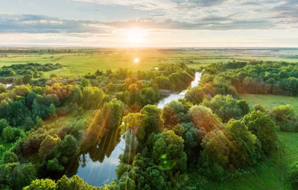 Greens, forest, summer, the sun, rays, light, trees, river