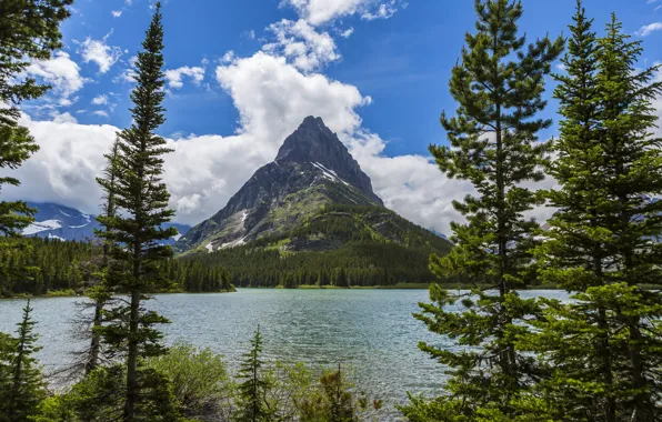Picture forest, trees, mountains, lake, shore, USA, Glacier National Park, Montana