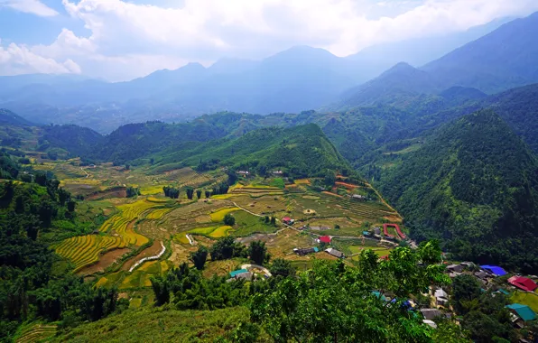 Field, forest, the sky, clouds, trees, mountains, valley, panorama