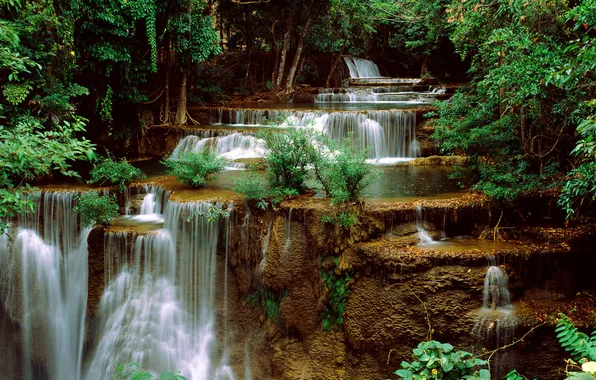 Trees, waterfall, cascades