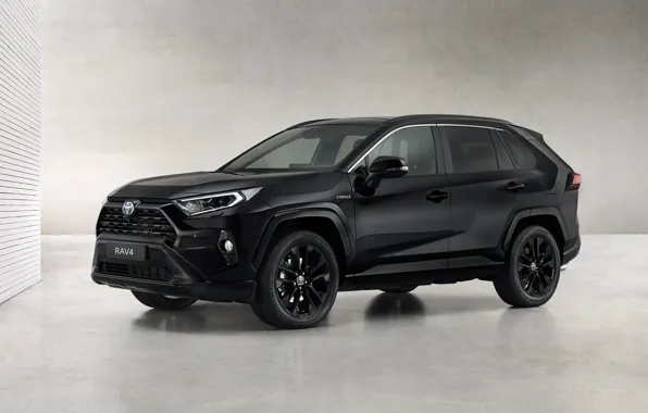 Picture Toyota, Hybrid, Black Edition, RAV4