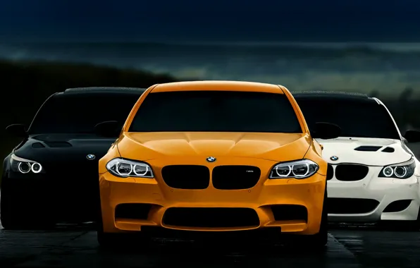 BMW, F10, E60, STYLE, BLACK, WHITE, ORANGE, FASHION