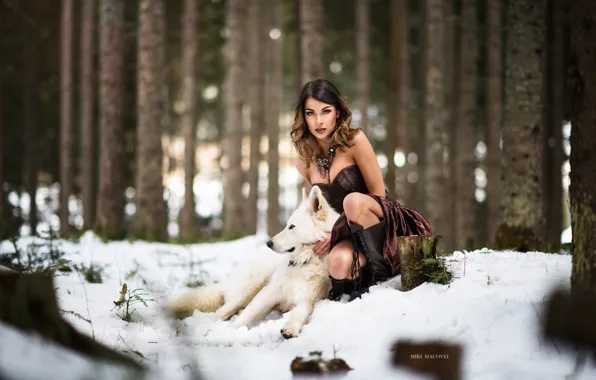 Picture winter, forest, girl, snow, wolf, dog, dress