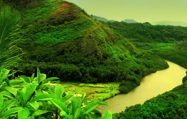 Picture greens, river, mountain