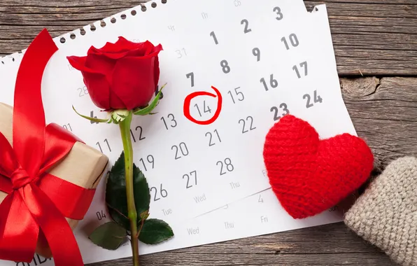 Love, flowers, gift, romance, roses, love, happy, Valentine's day