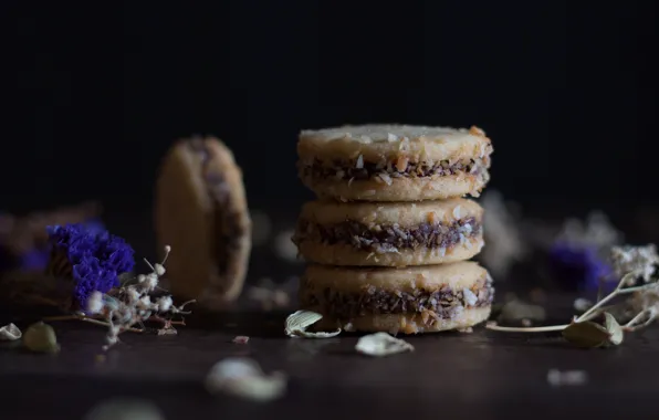 Picture chocolate, cookies, dessert, cakes