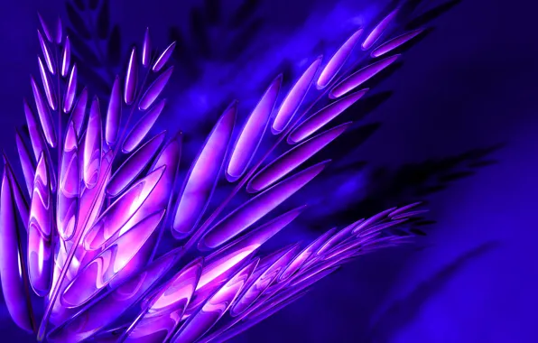 Picture leaves, light, branches, plant, color, ears