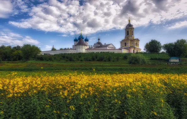 Picture landscape, grass, the monastery, Serpukhov, Vladimir Bragilevsky, Vysotsky Monastery