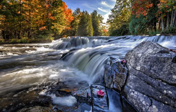 Water, river, stones, waterfall, stream, river, water, rocks