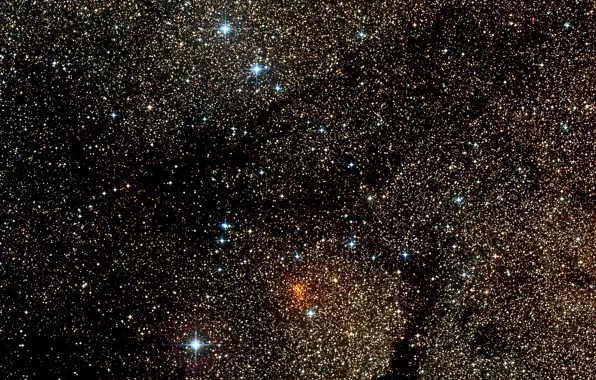 Stars, Wide Field View, Digitized Sky Survey 2, Star Cluster, Constellation of Ara, Westerlund 1, …